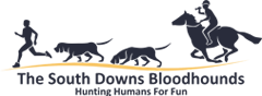 The South Donws Bloodhounds